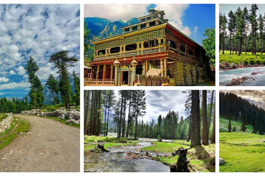 Swat Kumrat 7Days Tour Plan – Explore the Most Hidden Scenic Jungle of Northern Pakistan