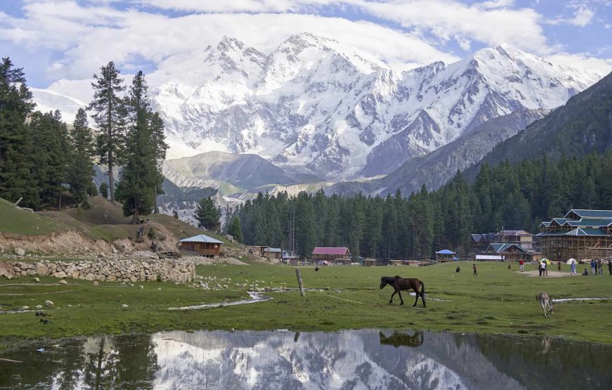 5-Day Fairy Meadows Tour Package