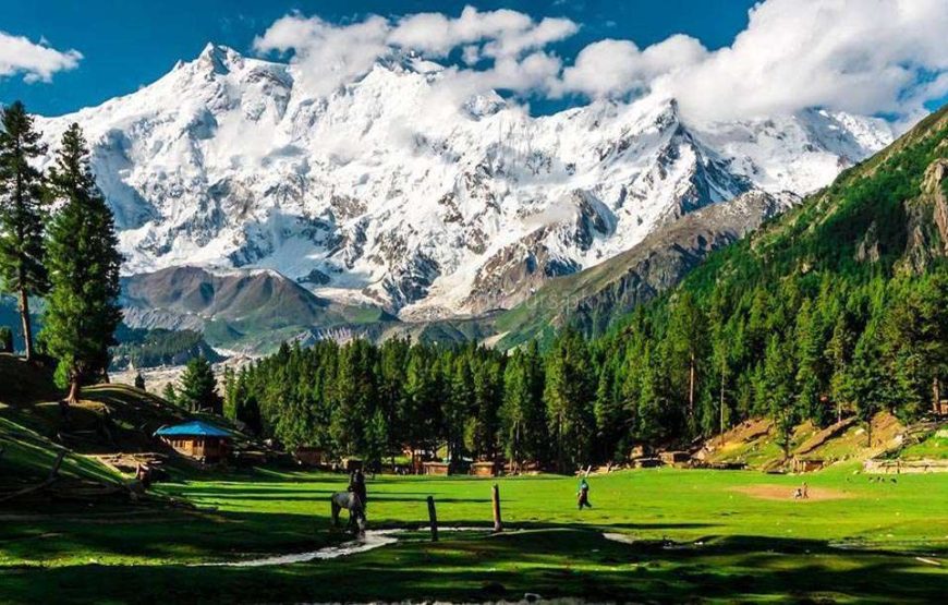 5-Day Fairy Meadows Tour Package