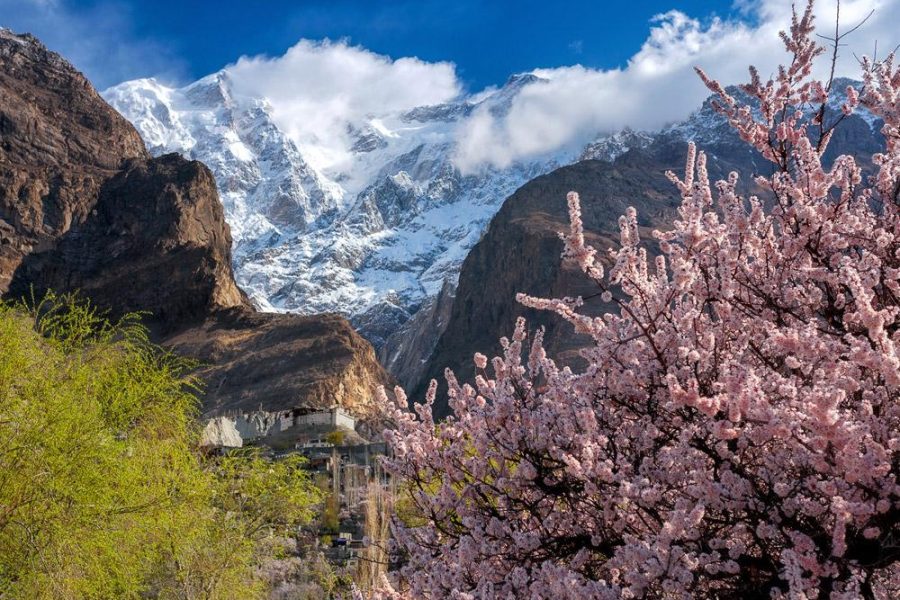 hunza