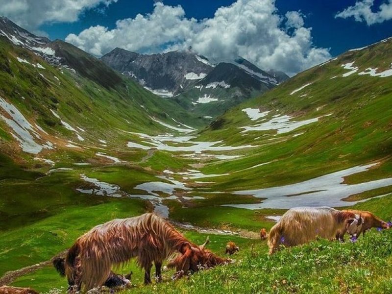 naran