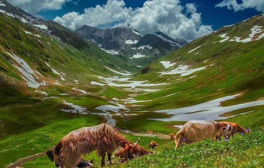 3 Days 2 Nights Naran Kaghan Group Tour By Goomo
