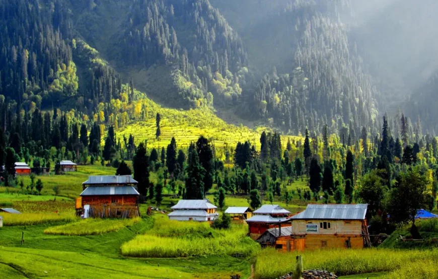 4 Days 3 Nights Neelum Valley & Galyat Couple Tour | Goomo